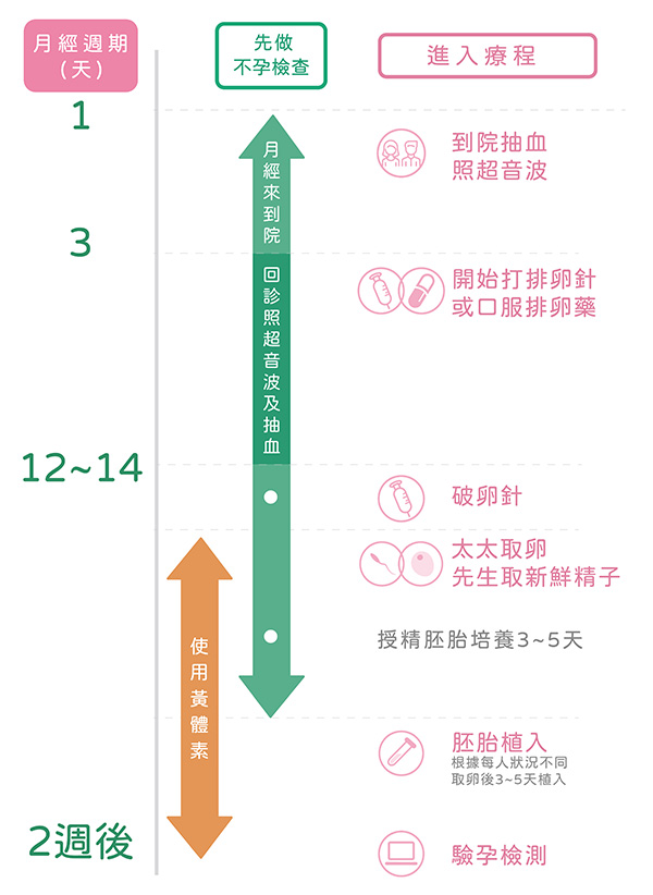 療程各語系_240618 (壓縮)