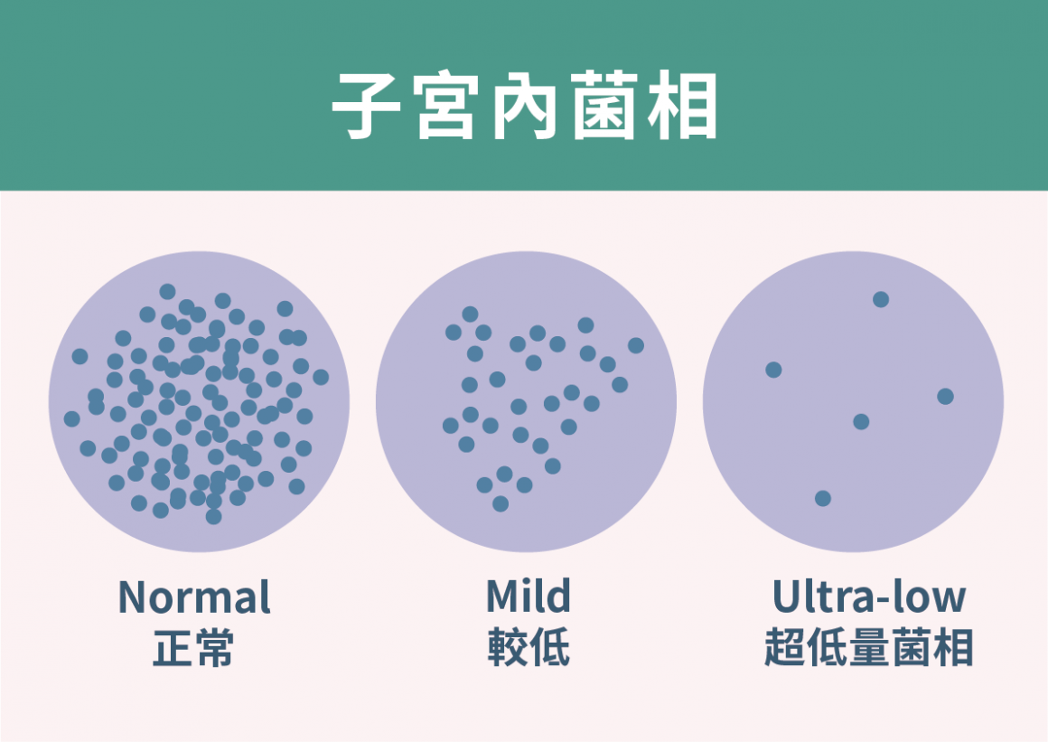 手板A3-05