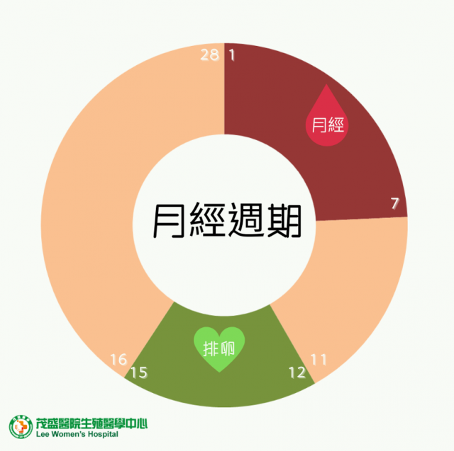 排卵期是什麼 有分泌物或出血正常嗎 排卵日懷孕怎麼計算 台中茂盛醫院生殖醫學中心